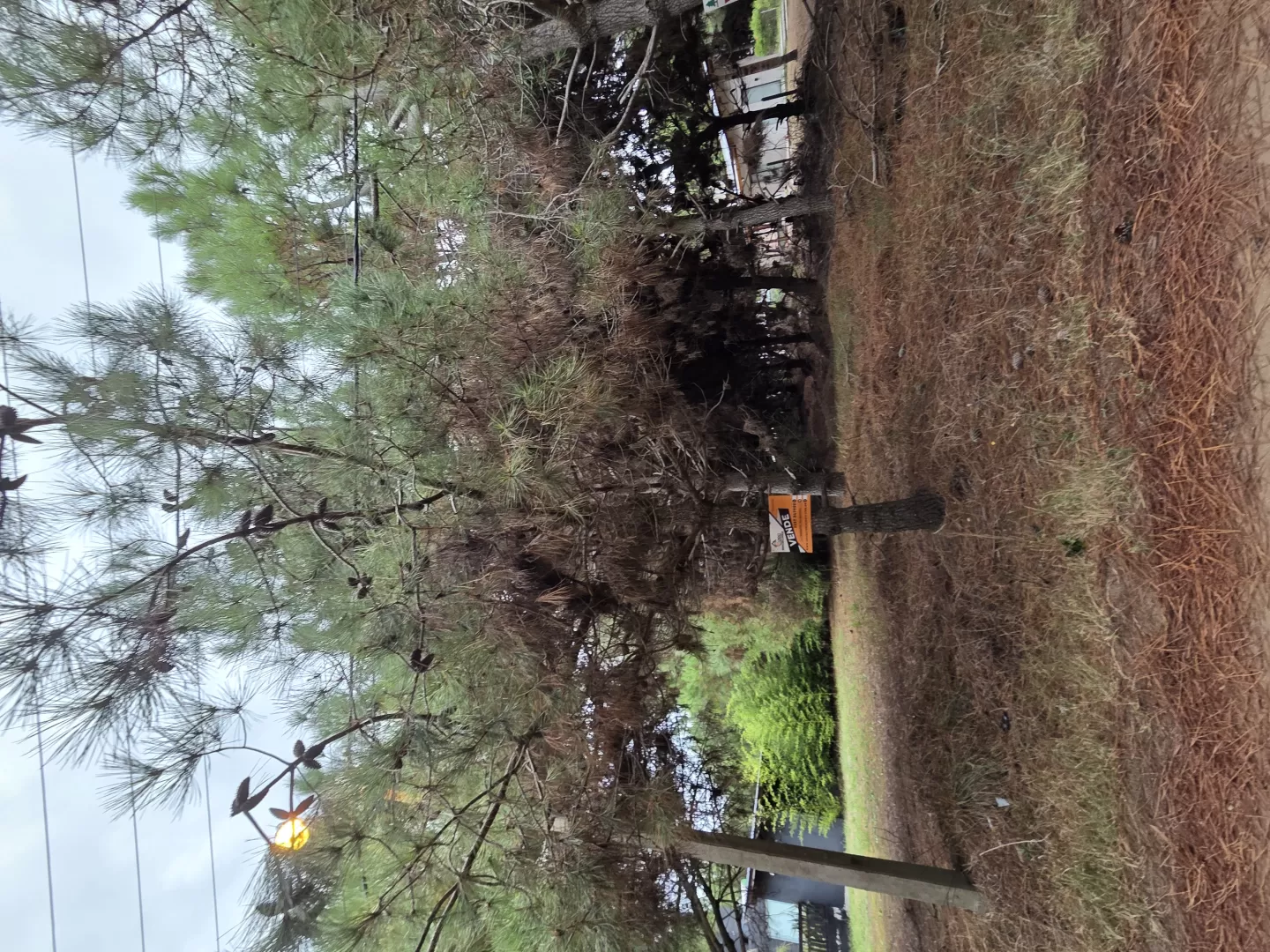 Terreno en Lucila del Mar - Gran Lote en el Pinar 15 x 54 (ID 93)